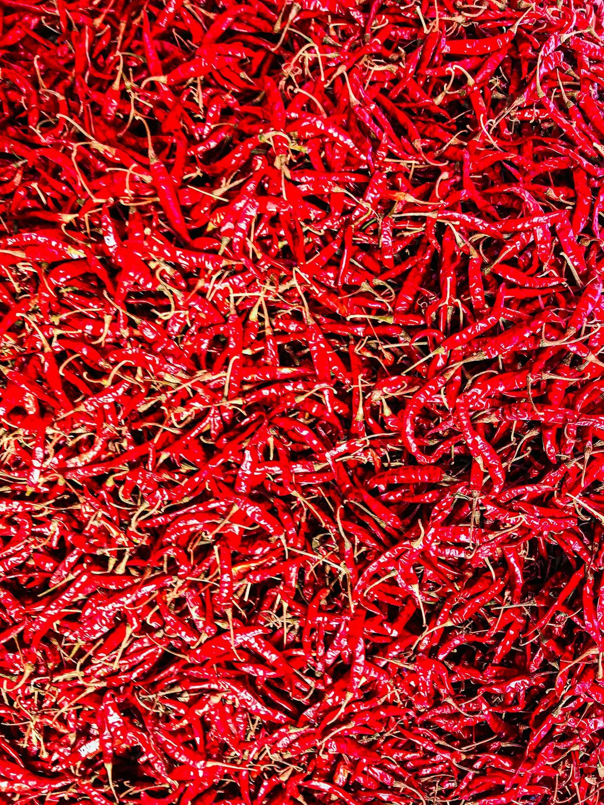 Röda chilifrukter