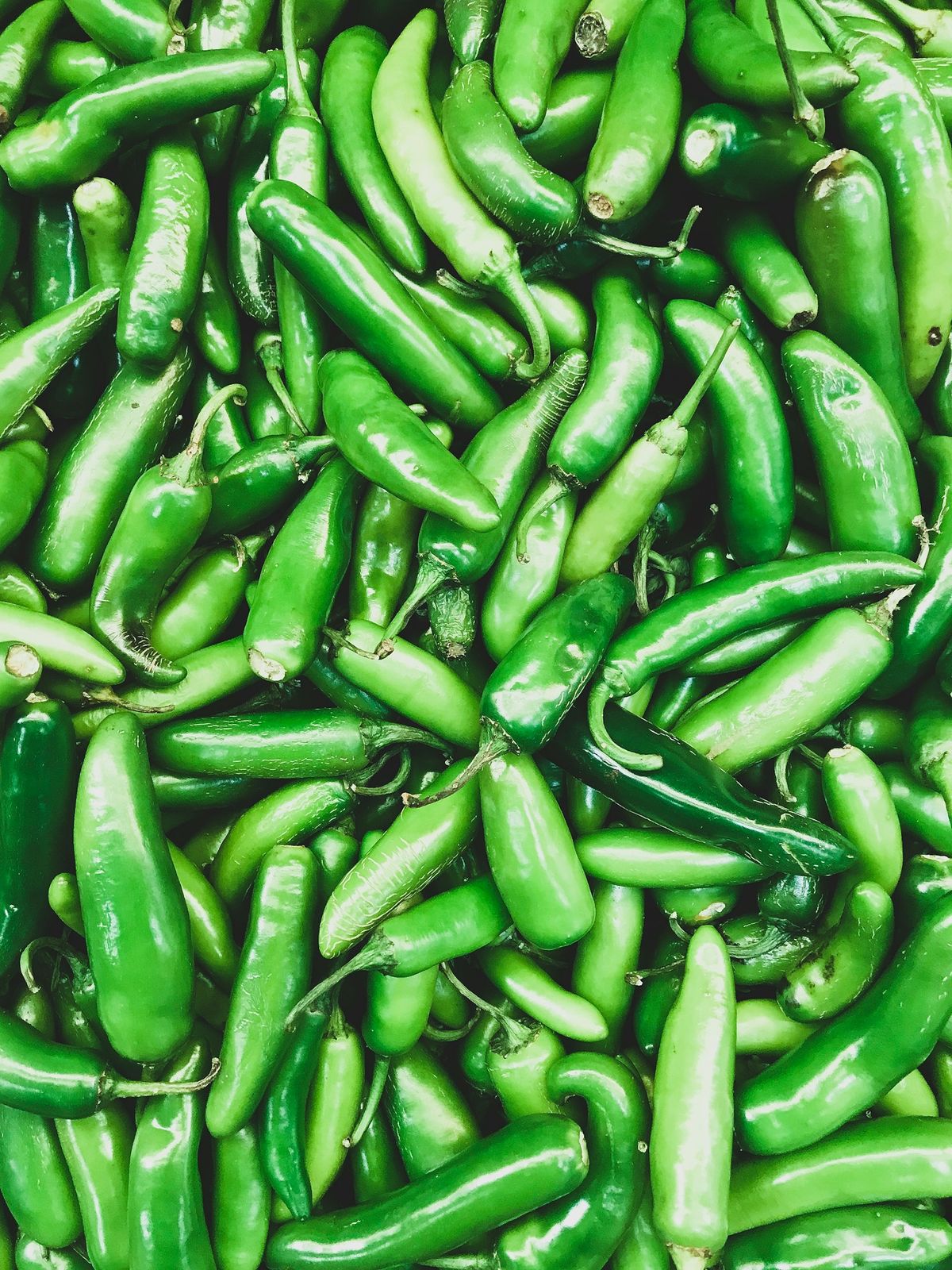 Färska gröna serranochili