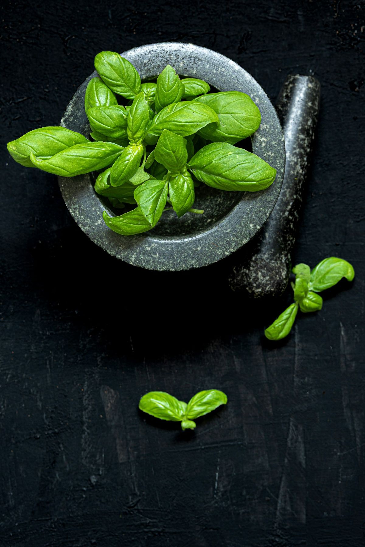 Basilika i mortel för pesto